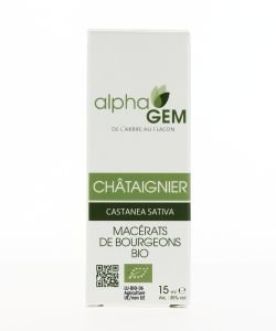 Chestnut (Castanea sativa) bud BIO, 15 ml